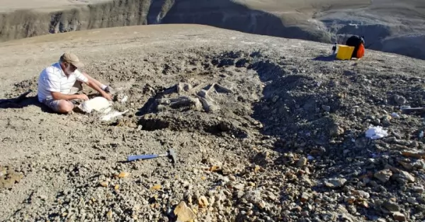Chubut: científicos del CONICET descubrieron los restos de un titanosaurio que vivió hace 66 millones de años