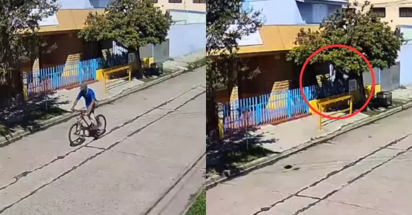 Beltrán: saltó una reja y robó una bicicleta en un jardín de barrio Garibaldi