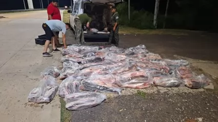 Secuestraron 2 mil kilos de pescado ilegales en Ruta 11