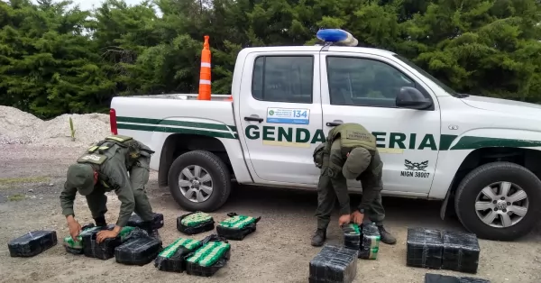 Santa Fe: Secuestran 265 kilos de hojas de coca que eran trasladadas en dos camiones