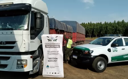 Decomisan casi 200 toneladas de soja que eran trasladados en siete camiones