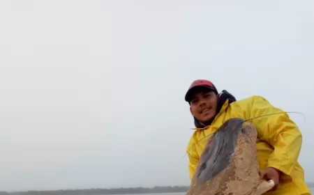 Capturaron un surubí gigante en el Río Paraná