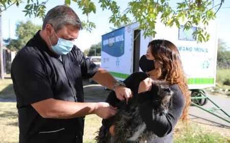 La Municipalidad vacunó contra la rabia a perros y gatos en barrio Villa Felisa