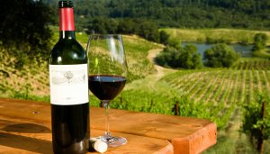 Día del Vino Argentino Bebida Nacional: destacan la recuperación del sector