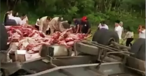 Volcó un camión frigorífico en Salta y los vecinos se llevaron miles de kilos de carne